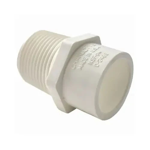 CHARLOTTE PIPE Charlotte Pipe PVC 02110 0800HA 3/4 in. x 1 in. Schedule 40 male PVC adapter (Each)