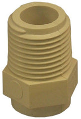 NIBCO Nibco Inc T00060D Cpvc Mip Adapter 0.5 Inches