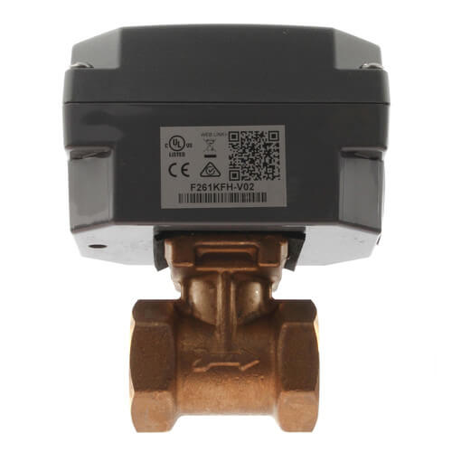 JOHNSON CONTROLS Johnson Controls F261KFH-V02C Flow Switch Nema 3R