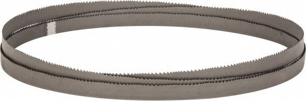 STARRETT Starrett 13665 Welded Bandsaw Blade 6-10 Tpi Bi-metal