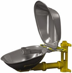 BRADLEY Bradley S19224DC Wall Mount Eyewash Station 0.4 Gpm