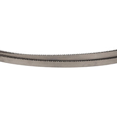 LENOX Lenox 80350D2B123835 Welded Bandsaw Blade 10 Tpi