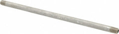 MERIT BRASS Merit Brass 6504-1200 Ss Pipe Nipple 1/4 in Sch 80 316 316L