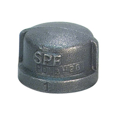 SIGMA Sigma 819901018 Malleable Iron Galvanized Pipe Cap 4 in