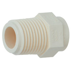 CHARLOTTE PIPE Charlotte Pipe CTS 02109 1000HA 1 In. Male Thread to CPVC Adapter (1 in / Each)