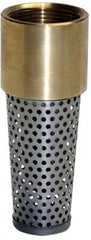 ASHLAND Ashland Water Group TFV-100NL Brass Foot Valve 1 Inch