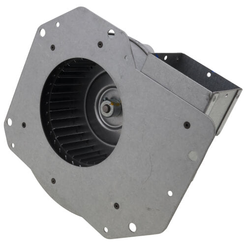 TRANE Trane FAN04216 Fan 2 Speed Combustion Air Blower 1/15 Hp Motor