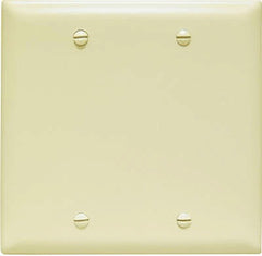 LEGRAND Pass Seymour TP23ICC12 2 Gang Blank Nylon Wall Plate