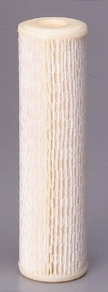 PENTAIR Pentair 155053-43 Pleated Cartridge Filter 50 Micron