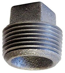 MARS Mars 69029135359 Galvanized Square Head Plug 2 in