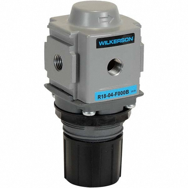 WILKERSON Wilkerson R19-04-GA00B Air Regulator 1/2 Npt 300 Psi