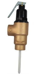 Cash Acme 23258-0150 FVX Series 3/4 in. Brass FNPT 150# 210 Relief Valve