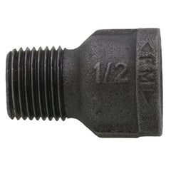 Everflow GMEP0012 | 1/2 Galvanized Extension Piece