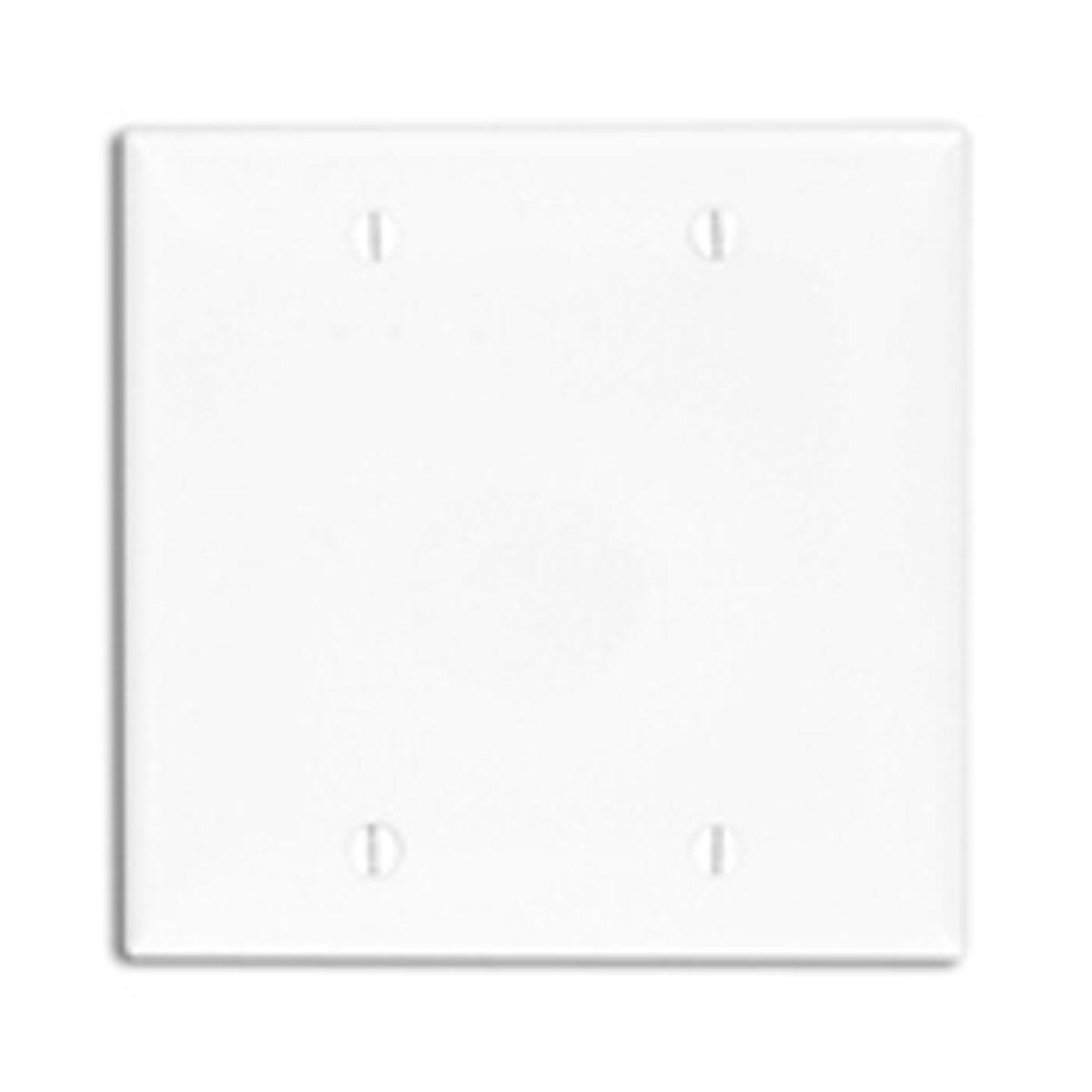LEVITON Leviton 80725-E 2-Gang 2-Blanks Box Mounted Black Standard Size Nylon Wallplate