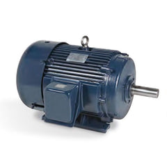 MARATHON MOTORS GT1013A NEMA & TEFC MOTORS