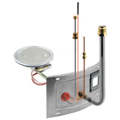 RHEEM AM43286 BURNER ASSEMBLIES
