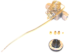 ROBERTSHAW 4200-508 GAS VALVES