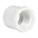 IPEX Ipex 438167 Pvc Sch 40 Reducing Bushing 1-1/4 X 3/4 in
