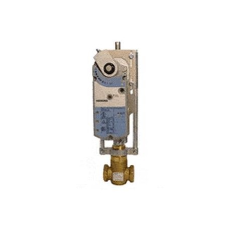 SIEMENS 298-03183 GLOBE VALVES