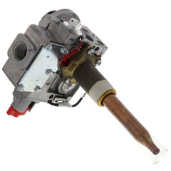 RHEEM SP20167C GAS VALVES