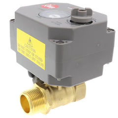 RHEEM SP21111 LEAK DETECTORS