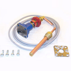SPIRAX SARCO 63631 TEMPERATURE CONTROLS