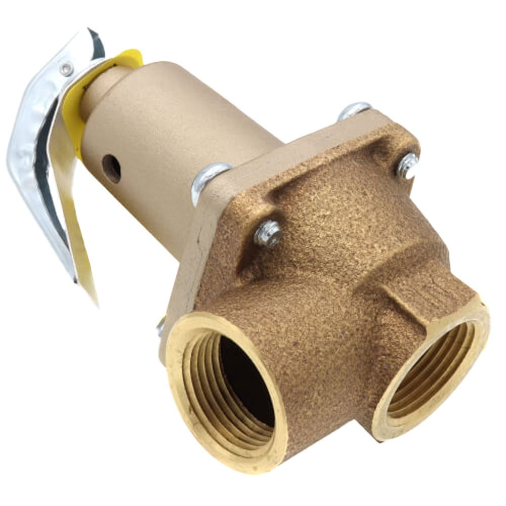 WATTS Watts 0274598 Series 174A 3/4 in. Bronze FNPT 75# 250 Relief Valve