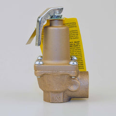 Watts 0274513 Series 174A 3/4 in. Bronze FNPT 50# 250 Relief Valve