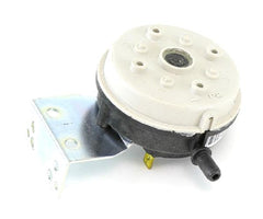 LOCHINVAR 100110973 FLOW SWITCHES