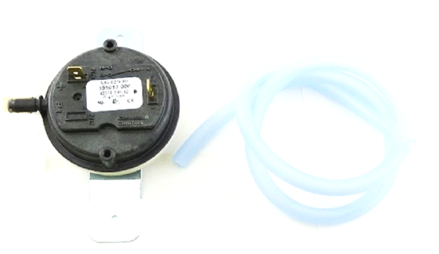 LOCHINVAR 100110806 FLOW SWITCHES