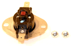 LOCHINVAR 100110201 CONTROL BOARDS