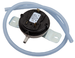 LOCHINVAR 100110810 FLOW SWITCHES