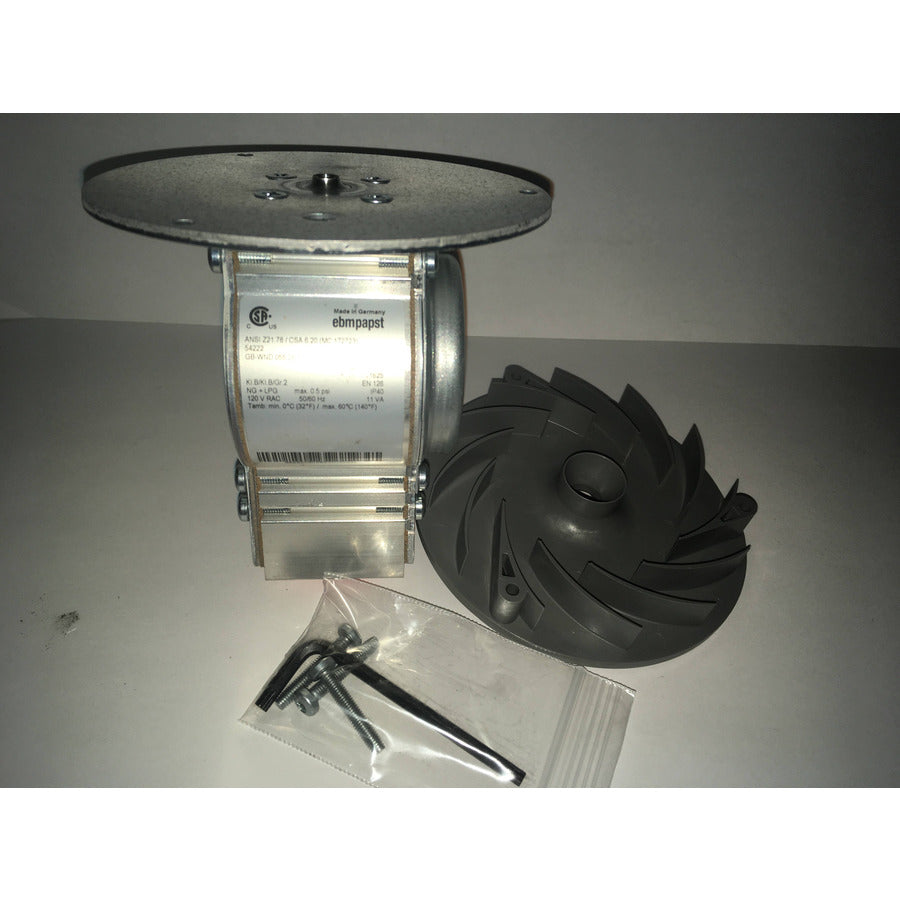 PEERLESS 54253 GAS VALVES
