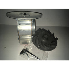 PEERLESS 54253 GAS VALVES