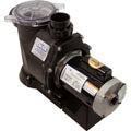 WATERWAY PLASTICS SVL56S-110 POOL & SPA PUMP MOTORS