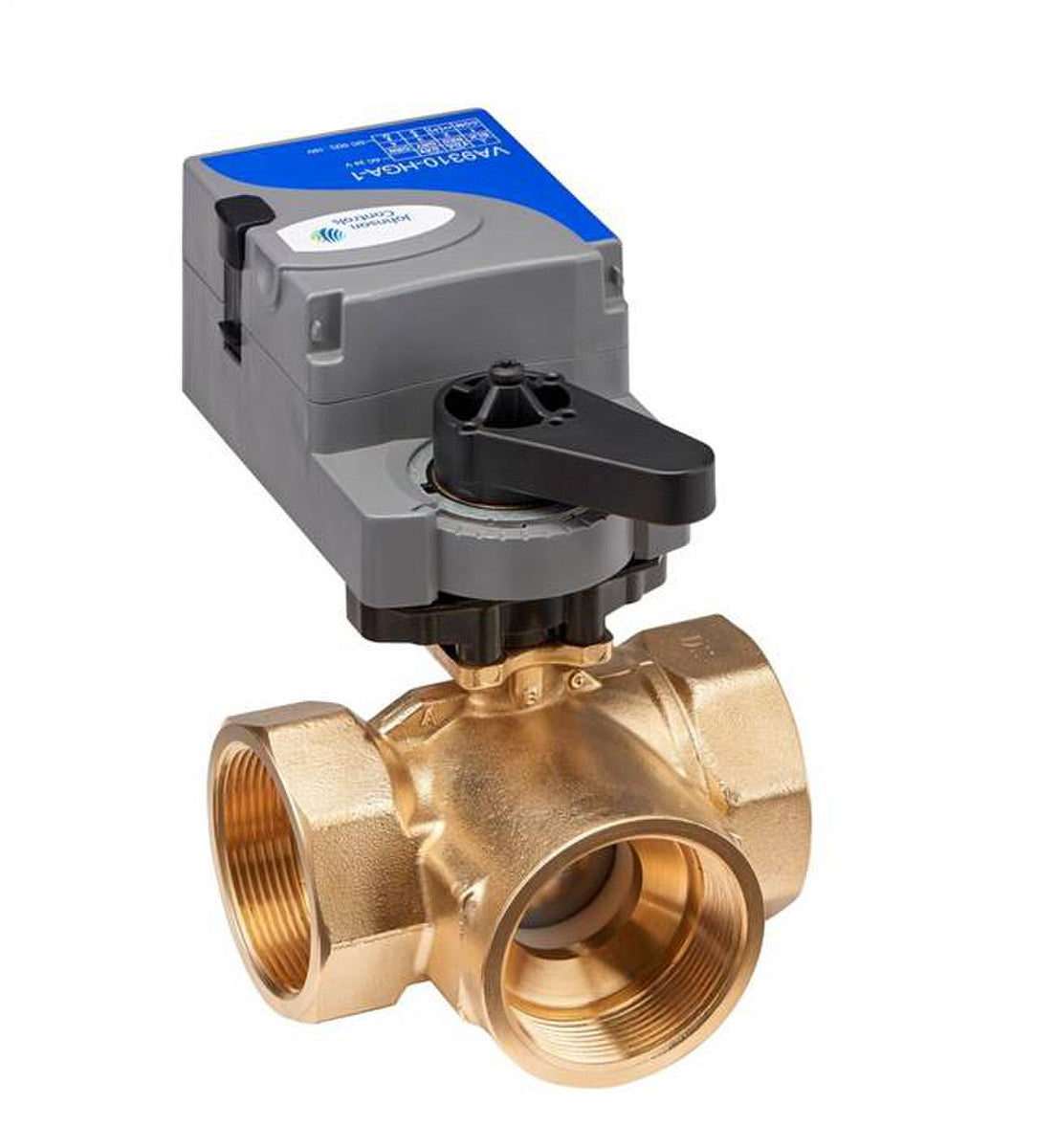 JOHNSON CONTROLS VG1845ER+910HGC GLOBE VALVES