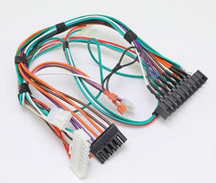 LOCHINVAR 100172805 WIRING HARNESSES