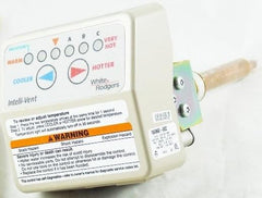 LOCHINVAR 100109868 GAS VALVES