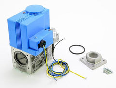 LOCHINVAR 100172015 GAS VALVES