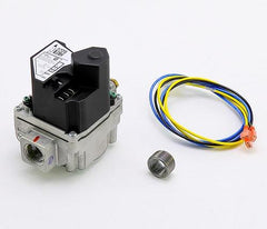 LOCHINVAR 100109913 GAS VALVES