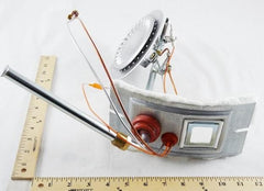 LOCHINVAR 100109316 BURNER ASSEMBLIES