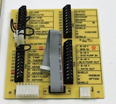 LOCHINVAR 100208459 CONTROL BOARDS