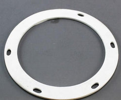 LOCHINVAR 100146322 GASKETS