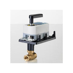 SIEMENS 171C-10317 BALL VALVES