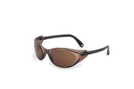 HONEYWELL S1731 SAFETY GLASSES