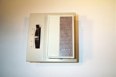 JOHNSON CONTROLS T28BD-1 THERMOSTATS