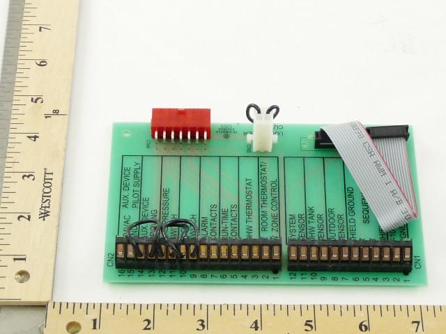 LOCHINVAR 100208501 CONTROL BOARDS