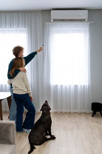 Mini Split in the Room