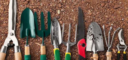Seasonal Yard & Garden Supplies: Must-Have Tools