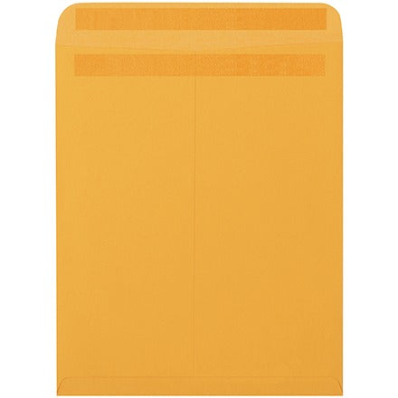 BSC PREFERRED Bsc Preferred EN1045 Self-seal Envelopes Case of 500
